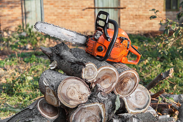 Emergency Storm Tree Removal in Cabot, AR